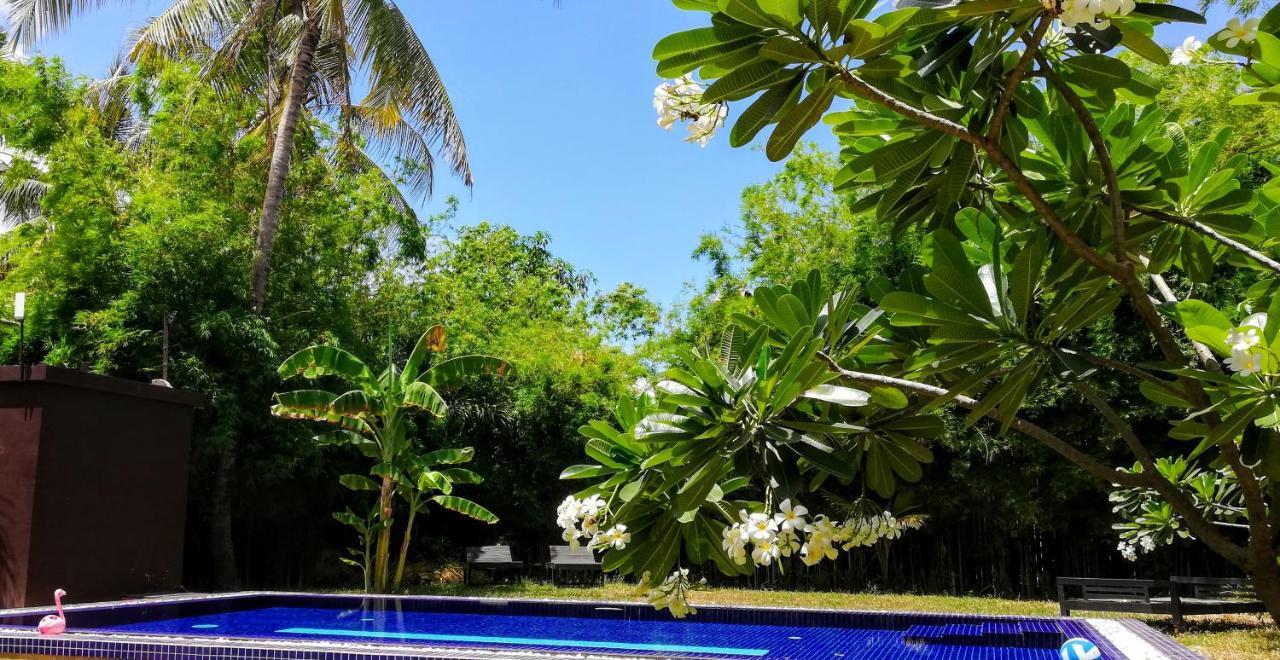 סיאם ריפ Villa B.Maison D'Hotes Angkor מראה חיצוני תמונה