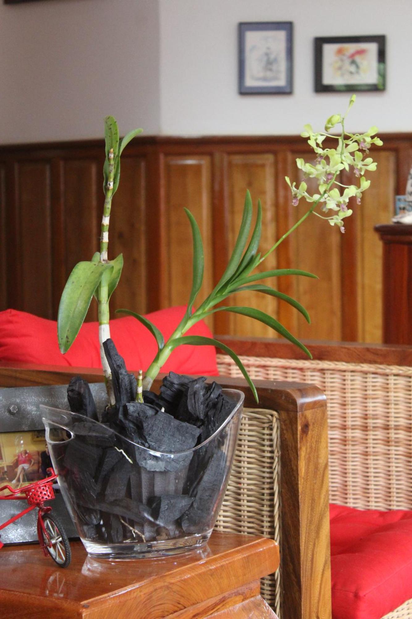 סיאם ריפ Villa B.Maison D'Hotes Angkor מראה חיצוני תמונה